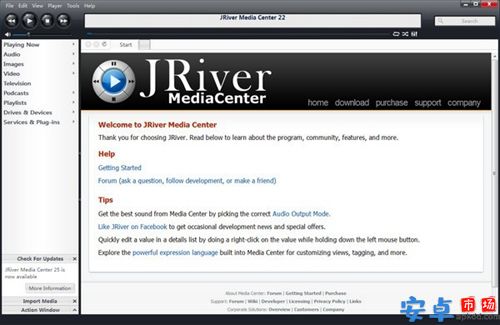 jriver media center专业版