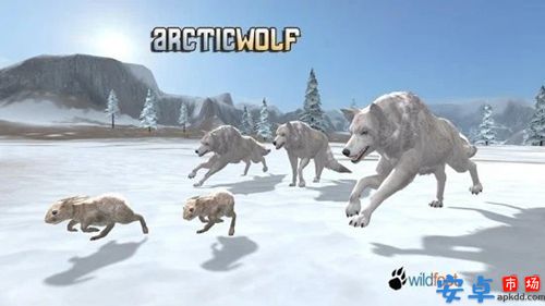 北极狼3D游戏官网版