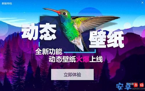 小鸟壁纸最新版官方版下载