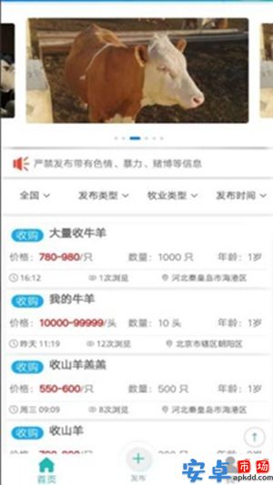 青青草原app最新版下载
