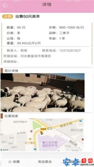 青青草原app官网版