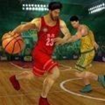篮球3d模拟器安卓版