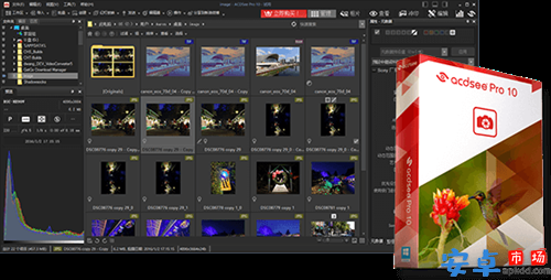 acdsee pro2021破解版