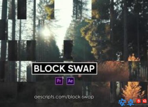 block swap中文版