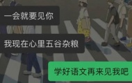 抖音我现在心里五谷杂粮是什么意思？梗的意思介绍