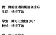 网络用语婉拒了哈是什么梗？婉拒了哈梗的意思介绍