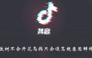 抖音铁树不会开花乌鸦只会谩骂是什么梗？梗的详解