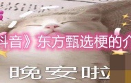 抖音东方甄选是什么梗？梗的出处及意思详解