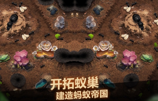 小小蚁国免费礼包活动 小小蚁国礼包码真实有效